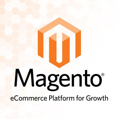 Magento Development Services