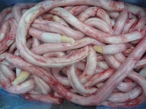 Meat Products, Condition : Frozen, Packaging Type : Light Red