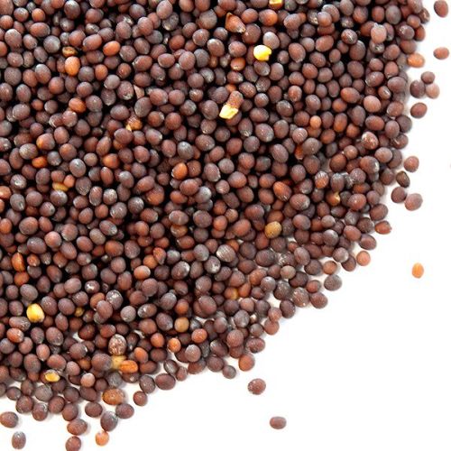 SEED Mustard, Brand Name : DDA, Packaging Type : PP for FOOD