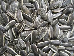 Sunflower seed, Drying Process : Sun Dried