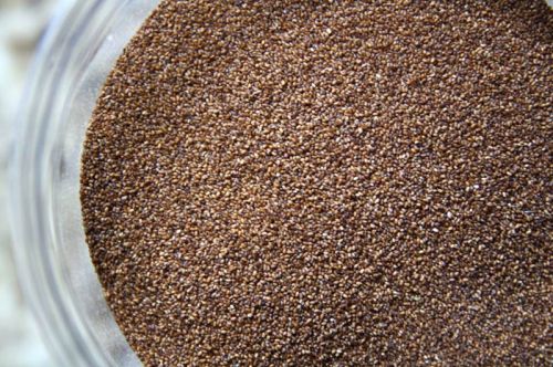 Glutten Free Teff Flour