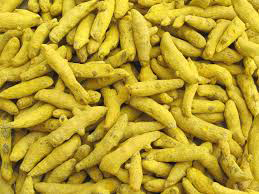 Turmeric finger, Packaging Type : Loose