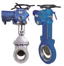 Motorized Gate Valve