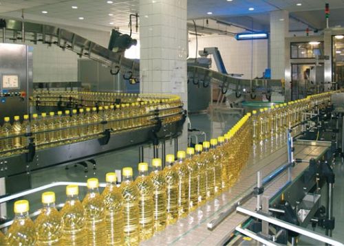 Used cooking oil, Storage : Cool, Dark Place