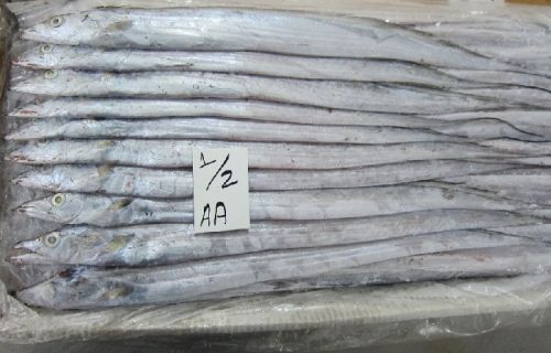 Frozen Ribbon Fishes