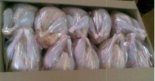 Frozen Whole Chicken, Brand Name : Sadia, Hilal, Perdix