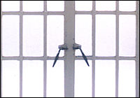 Steel Window Section