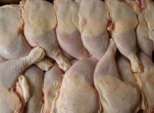 Brazilian Frozen Chicken, Brand Name : brf, jbs chciken for food