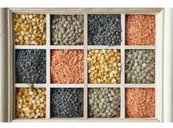 Indian Pulses