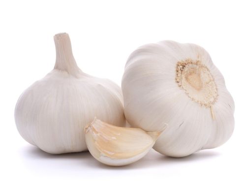 Fresh Garlic