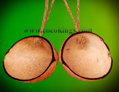 Half Cut Oval Coconut Shell Bird Feeder