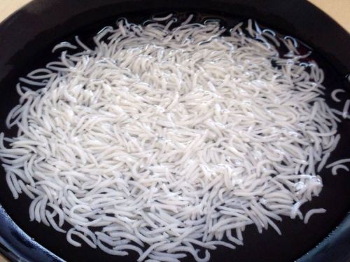 Hard Natural 1121 Steam Basmati Rice, For Gluten Free, High In Protein