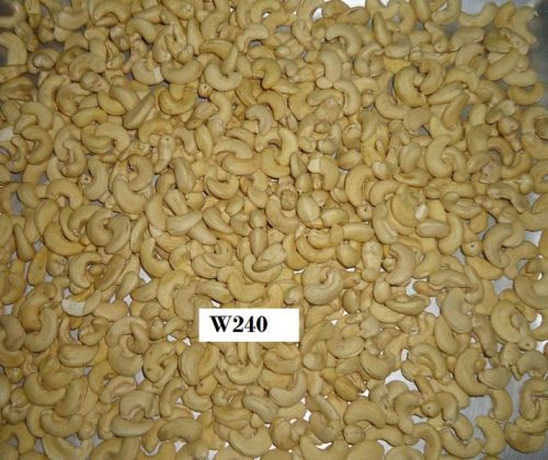 Cashew Nut W240