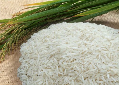 Non basmati rice, Cultivation Type : Natural