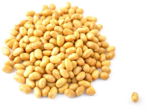 Soya Bean Seeds