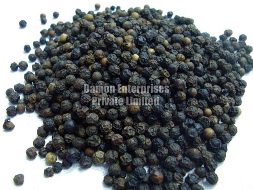 Black Pepper Seeds