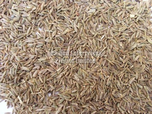Cumin seeds, Packaging Size : 50kg