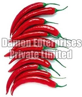 Fresh Red Chilli