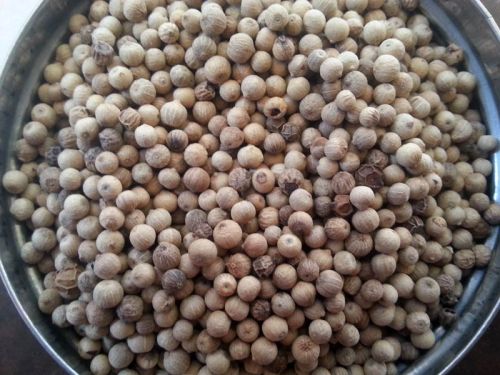 White Pepper Seeds