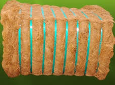 Coir Fibre