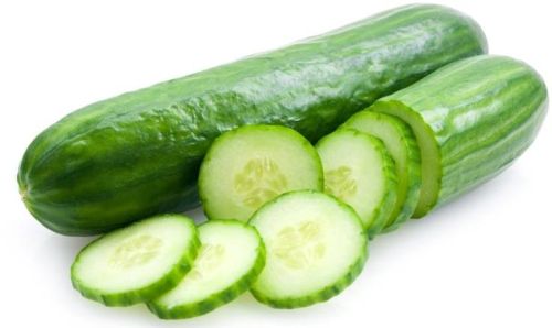 Fresh Cucumber,fresh Cucumber