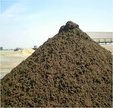 Chicken Manure