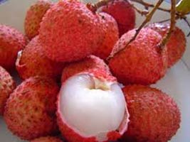 Fresh Litchi