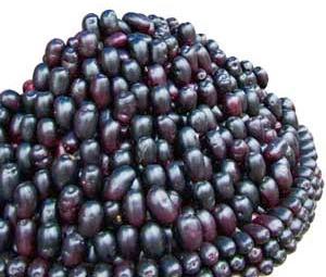 Frozen Jamun Pulp