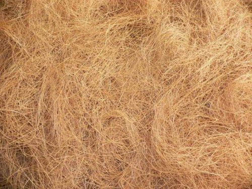 Coconut Coir Fiber