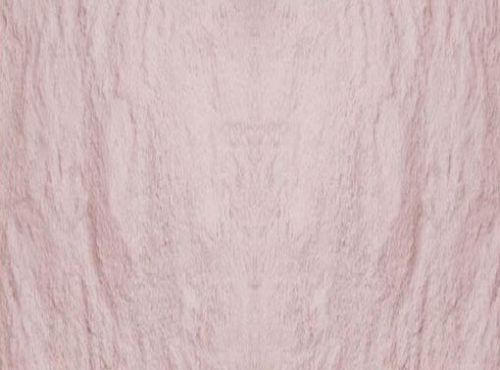 Dehydrated Red Onion Powder