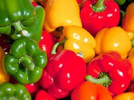 Capsicum, Country of Origin : India