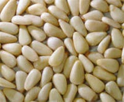 Pine Nut Kernels