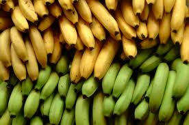 Yellowish Cavandish Banana