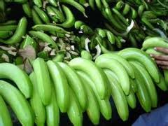 Qualitative Fresh Banana