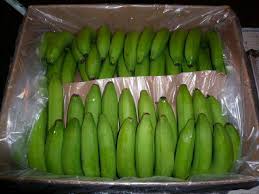 Common Classic Banana, Packaging Type : Green, Light Yellow, Yellow
