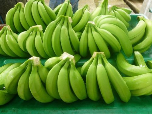 Fresh Cavendish Bananas, Brand Name : Del Monte, Variety : COMMON