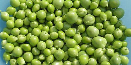 Fresh Green Peas