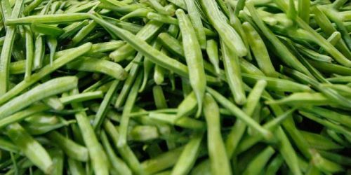 Fresh Guar Gum Beans