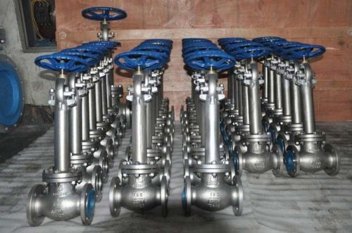 Cryogenic Globe Valve