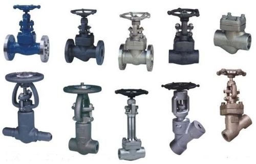 Forged Steel Gate Valve