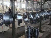 Metal Flanges