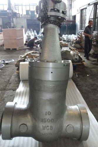 Pressure Seal Globe Valve