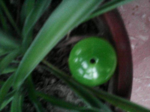 Flavrour Green Jade Bead