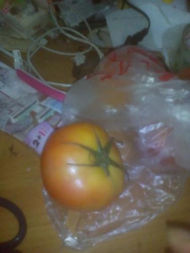 Leefay Licensing Agent Tomatoes To Buy Their Own More Rest, There Is
