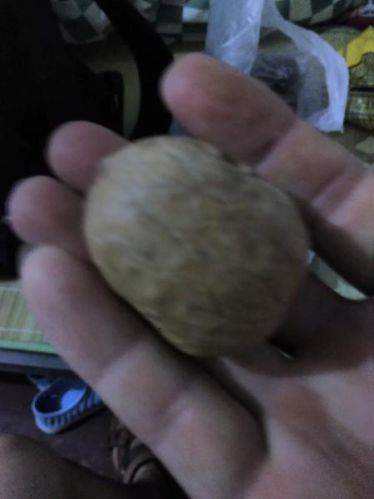 Leefay Walnut Own Proxy Card To Buy More Rest, There Is No Chemical Fe