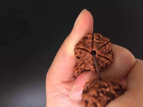 Six Diamond Profile King PU Tizi King PU Tizi, According To Buddhist