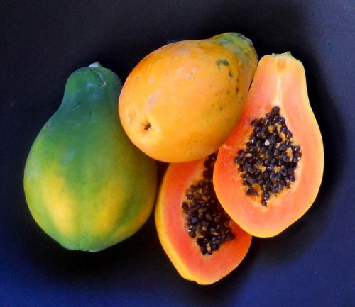 Fresh Papaya