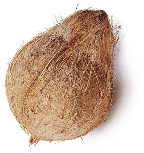 Semi Husked Coconut