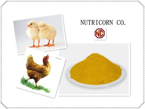 Corn Gluten Meal, Usage : Animal Feed Additive