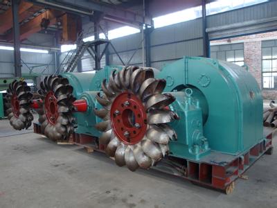 Pelton Turbine
